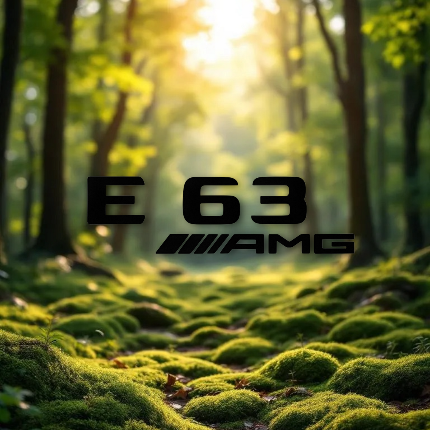 🏁 Stickers Mercedes E 63 AMG – Personnalisables