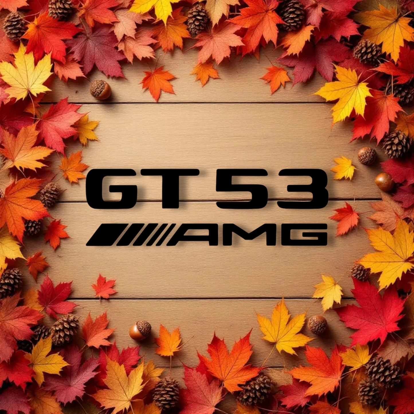 🏁 Stickers Mercedes GT 53 AMG – Personnalisables